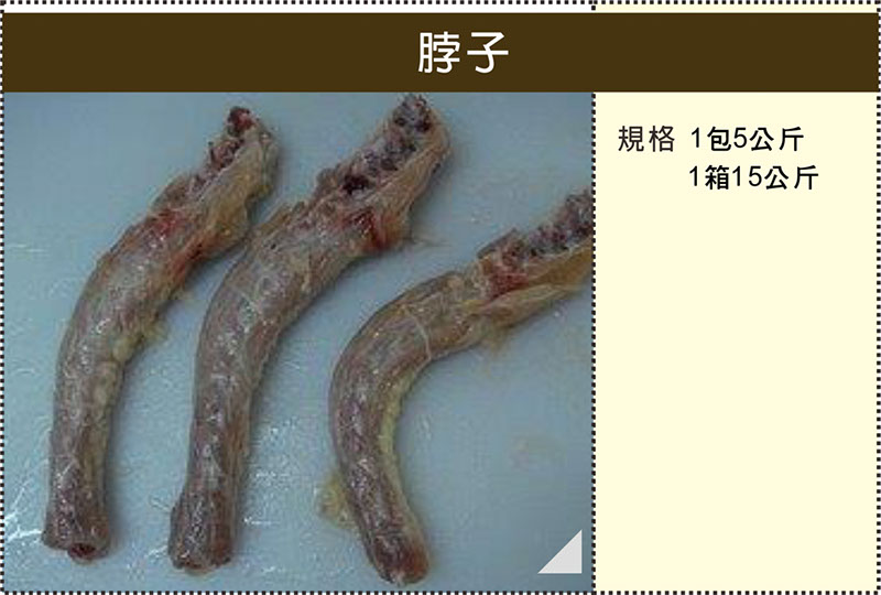 A018脖子