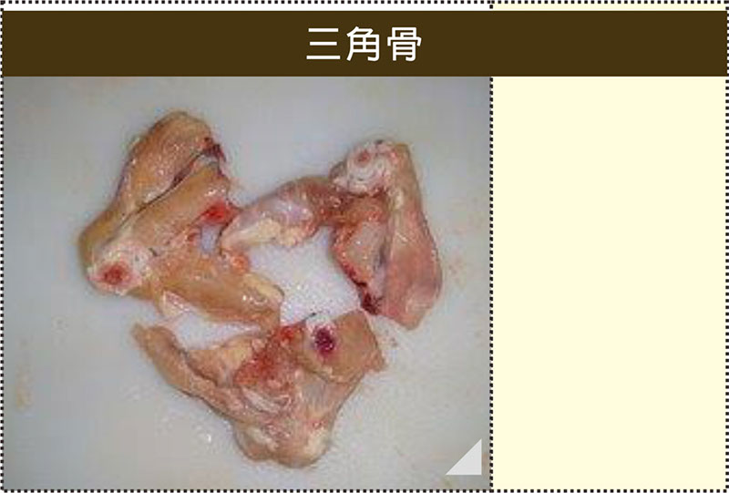 1053三角骨