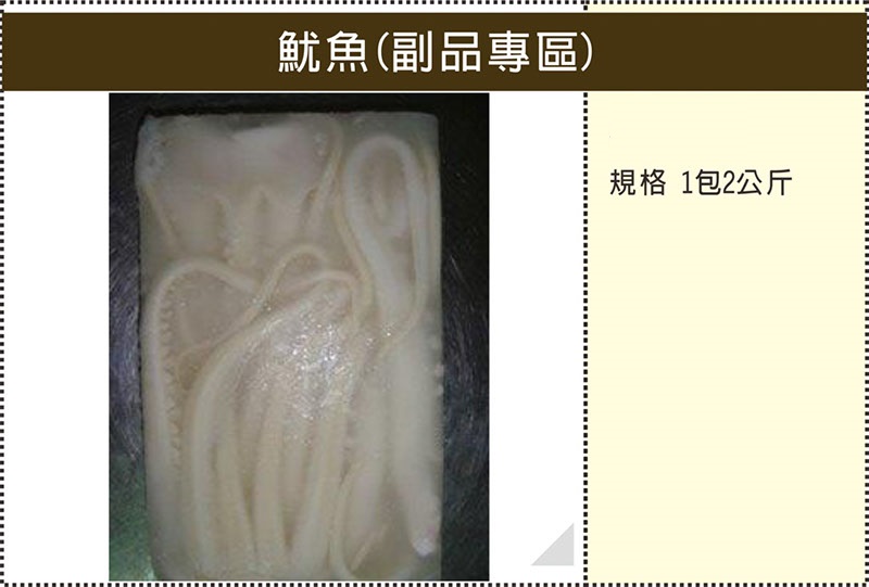 5005魷魚